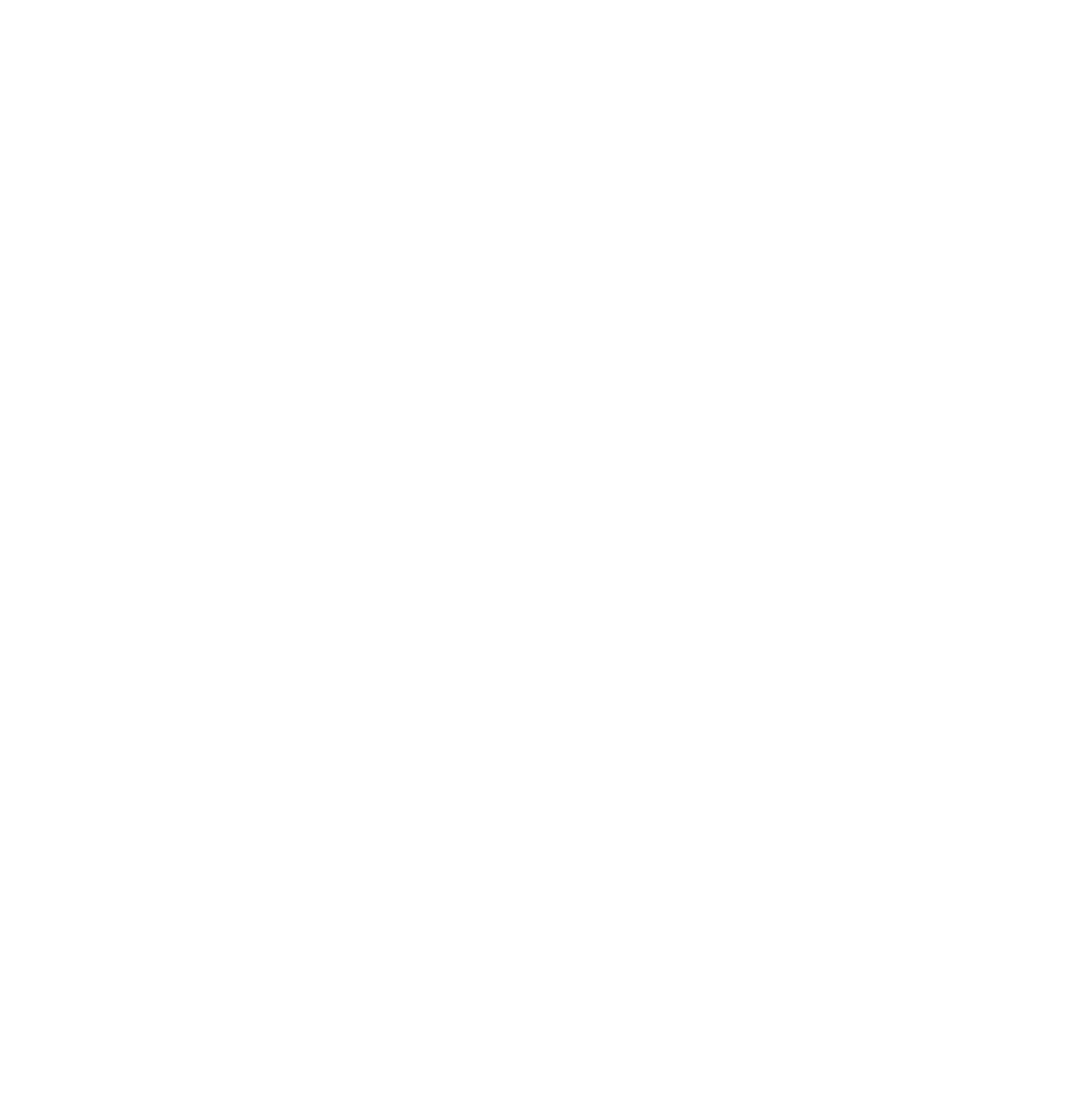 Instituto Bruno Marques Logo